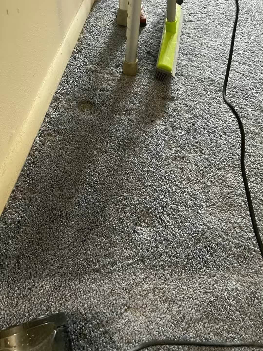740544625 122094455469395883 1703258515399583784 n
